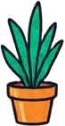 a pot with a plant inside.jpg